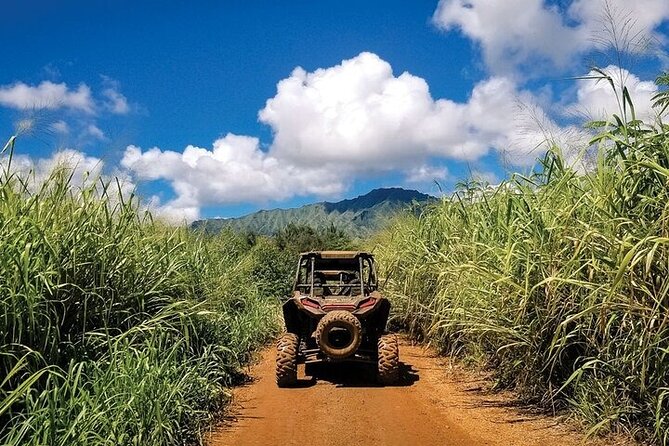 Kauai ATV Backroads Adventure Tour - Customer Reviews and Feedback