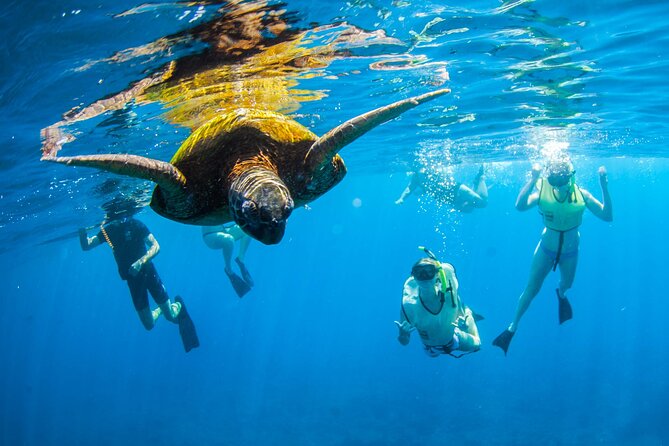 Kauais Ultimate South Island Zodiac Boat Snorkel Adventure - Snorkeling in Uncrowded Southern Coast