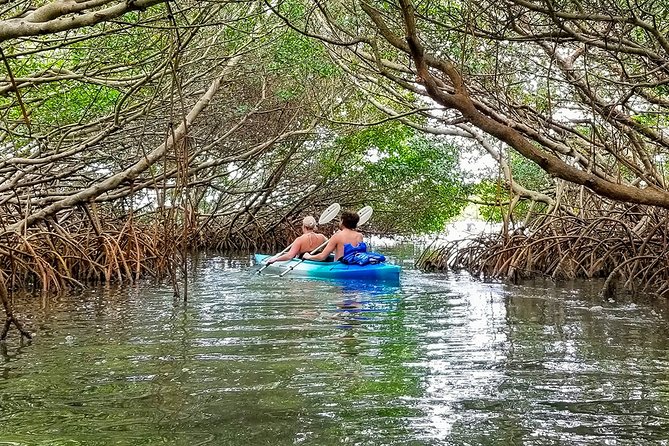 Kayak Adventure of Shell Key Preserve & Island With a Local - Shell Key Preserve Overview
