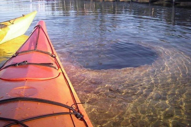 Kayak Day Paddle on Yellowstone Lake - Pricing and Duration