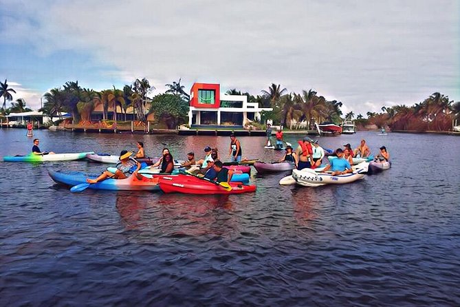 Kayak Rental: Explore Mangroves and Self-Navigated River Eco Paddle