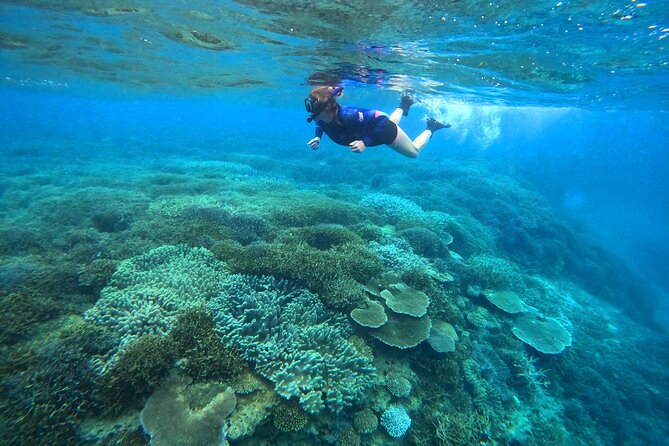 Kayak & Snorkel: Private Tour in Yanbaru, North Okinawa - Tour Highlights