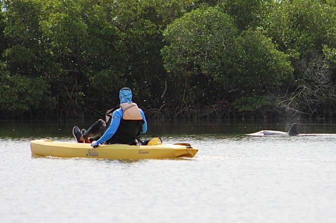 Kayak Tour Adventure Marco Island and Naples Florida - Tour Details