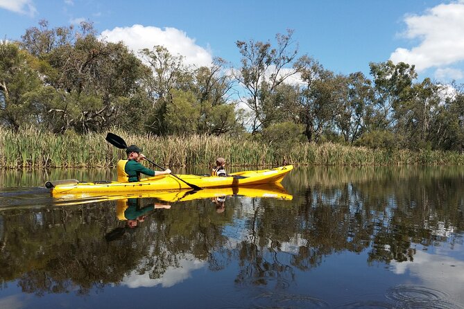 Kayak Tour on the Canning River - Tour Highlights