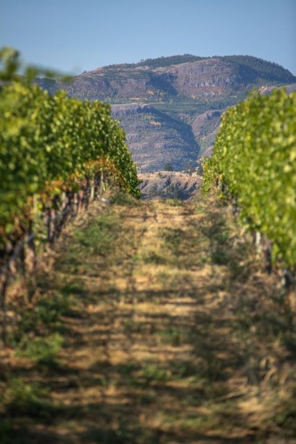 Kelowna: Lake Country Half Day Guided Wine Tour