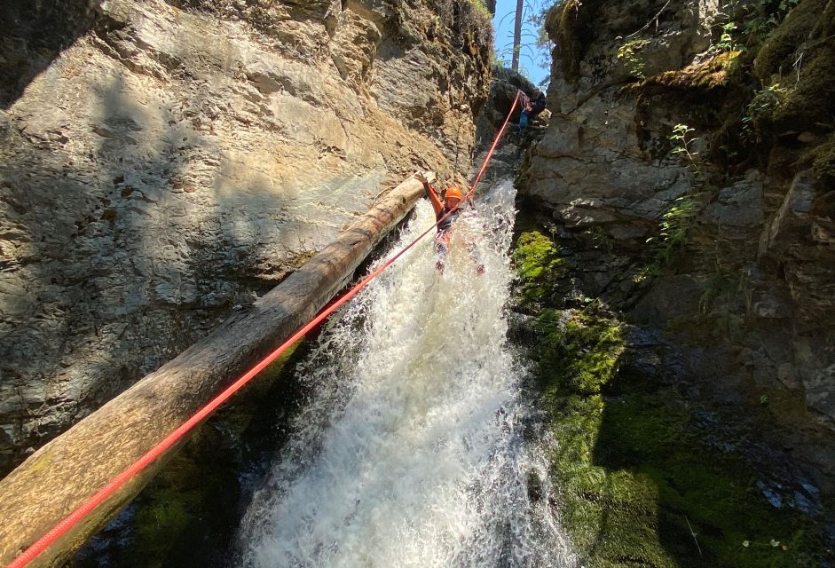 Kelowna: Okanagan Canyoning Tour - Activity Highlights