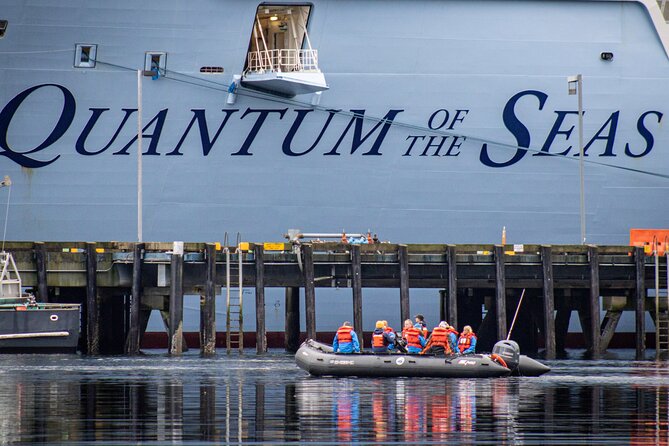 Ketchikan: Small-Group Marine Wildlife Zodiac Expedition - Encounter With Marine Wildlife Species