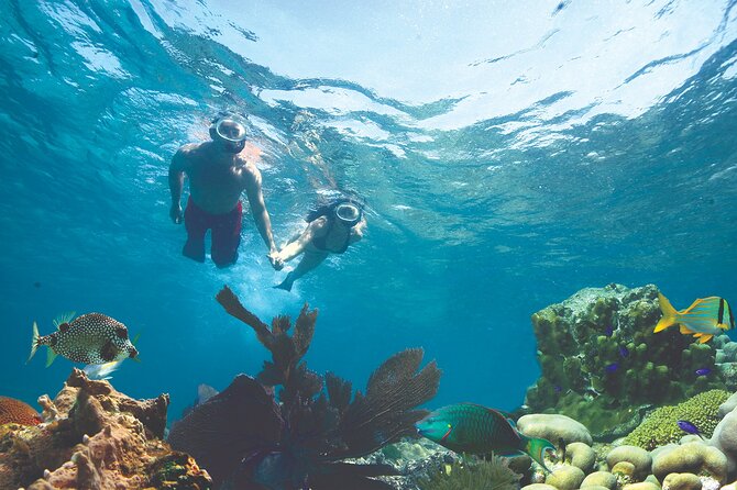 Key West Double-Dip: Two Reef Snorkeling Adventure With Drinks