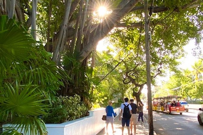 Key West Historic District Small-Group Walking Tour - Cancellation Policy