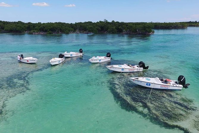 Key West Safari Eco Tour Adventure With Snorkeling - Tour Pricing and Booking Details