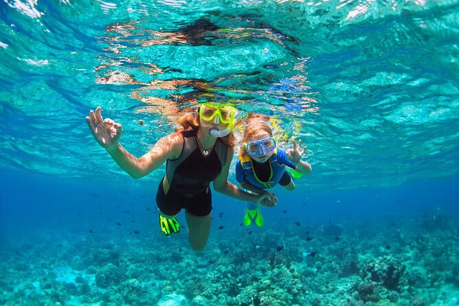 Key West Sunset Snorkel With Unlimited Draft Beer & Wine - Experience Details