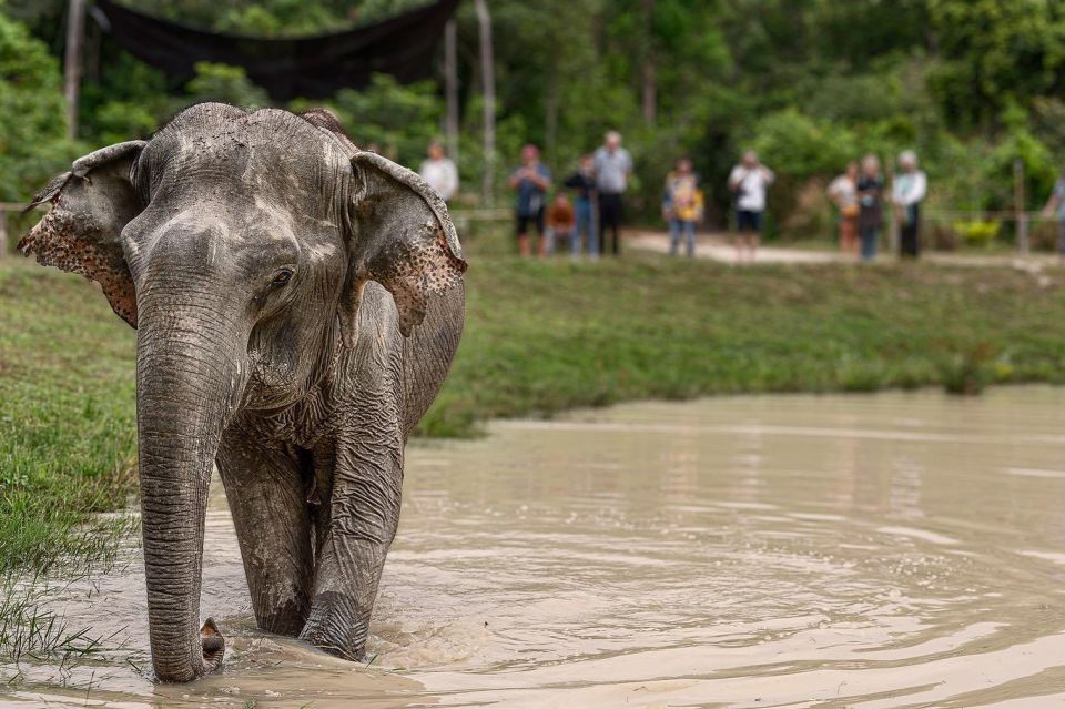 Kulen Elephant Forest and Tonle Sap Lake With Special Option - Activity Details