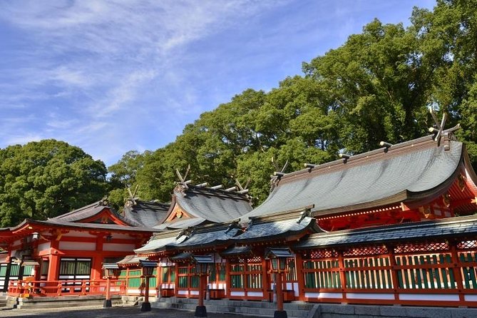 Kumano Kodo Pilgrimage Full-Day Private Trip With Government Licensed Guide - Tour Highlights
