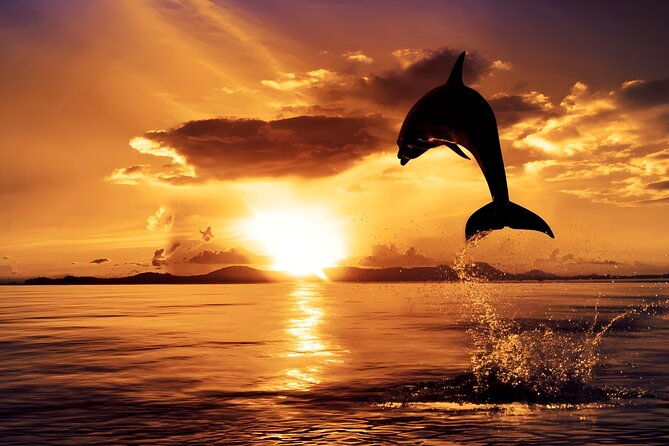 Kuta Private Dolphin-Watching Cruise  - Seminyak - Booking Details