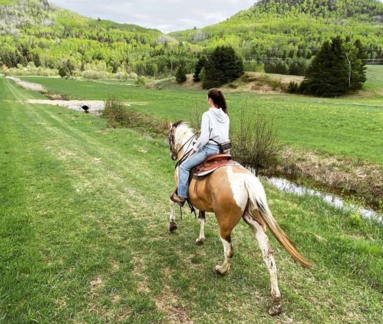 La Vallée: a Charming Introduction to Horseback Riding - Activity Details