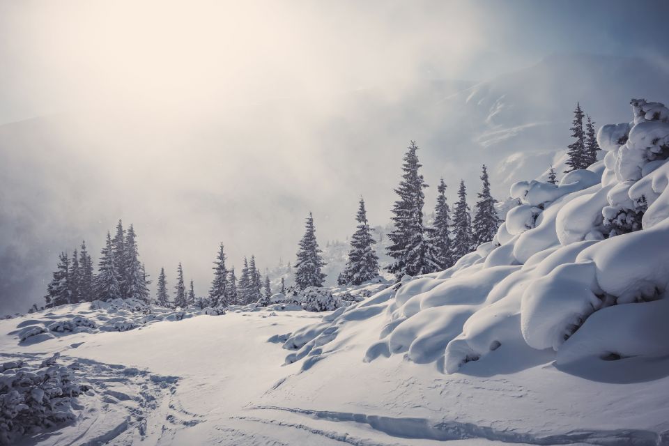 Lake Louise & Moraine Self-Guided Driving Audio Tour - Tour Highlights and Activities