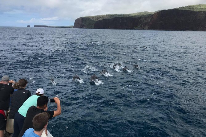 Lanai Snorkel and Dolphin Watch From Maalaea - Inclusions and Gear Provided