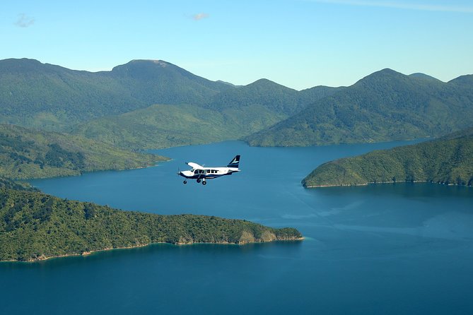 Light Aircraft Tour of the Marlborough Sounds From Picton