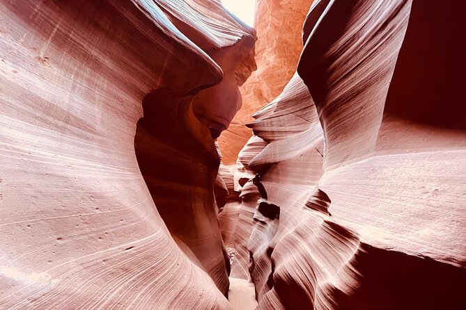 Lower Antelope Canyon and Horseshoe Bend Day Tour With Lunch
