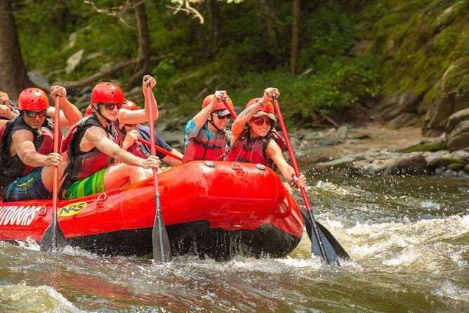Lower Pigeon River Rafting Tour - Pricing and Booking Details