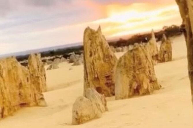 Luxury Picnic Experience Jurien Bay Foreshore and the Pinnacles
