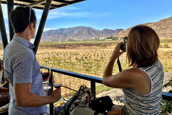 Luxury Private Wine Tasting Tour to Guadalupe Valley From San Diego - Tour Details and Pricing