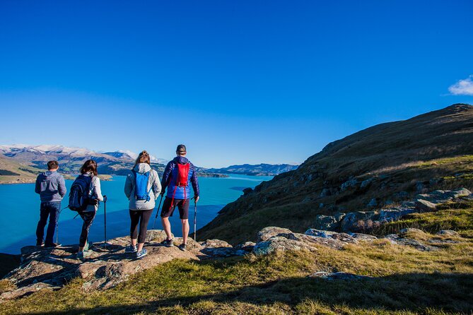 Lyttelton Shore Excursion - Guided Walking Tour and Picnic - Tour Overview