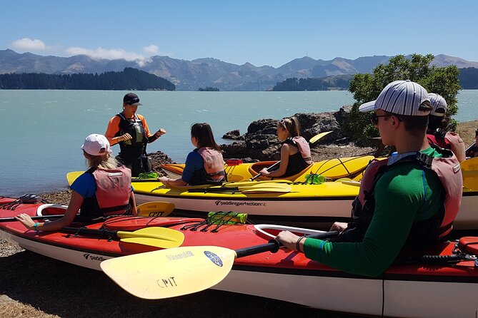 Lyttelton Shore Excursion - Sea Kayaking, Quail Island & Harbour - Refund and Cancellation Policy