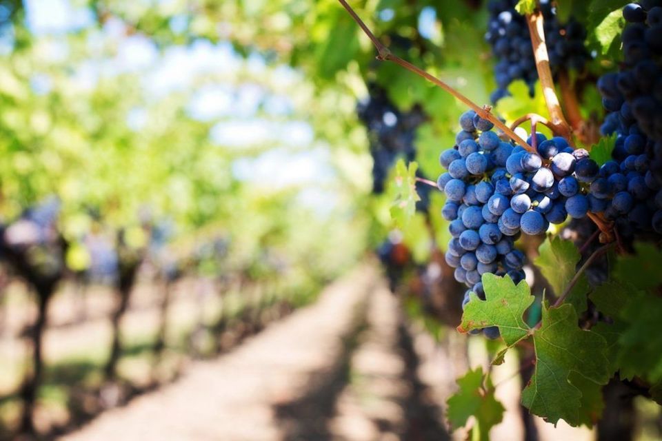 Malibu Wineries Private Group Tour - Tour Details