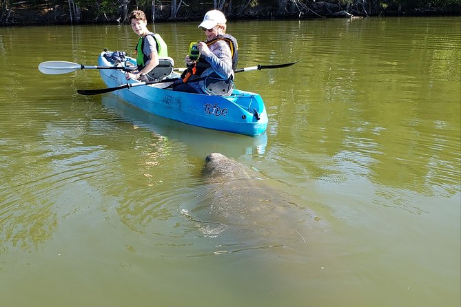 Manatee and Dolphin Kayaking Haulover Canal (Titusville) - Tour Highlights
