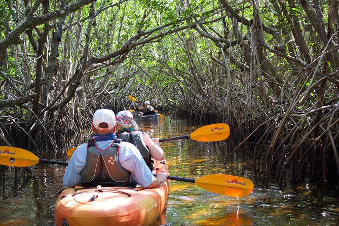 Manatees and Mangrove Tunnels Small Group Kayak Tour - Tour Overview