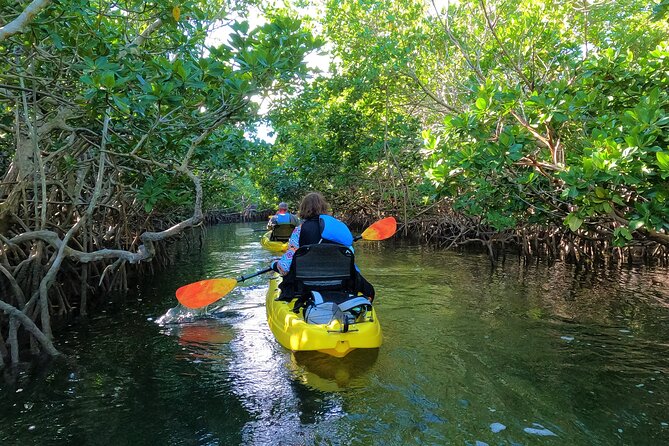 Mangrove Tunnel Kayak Adventure in Key Largo - Logistics