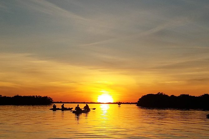 Mangrove Tunnels, Manatee, and Dolphin Sunset Kayak Tour With Fin Expeditions