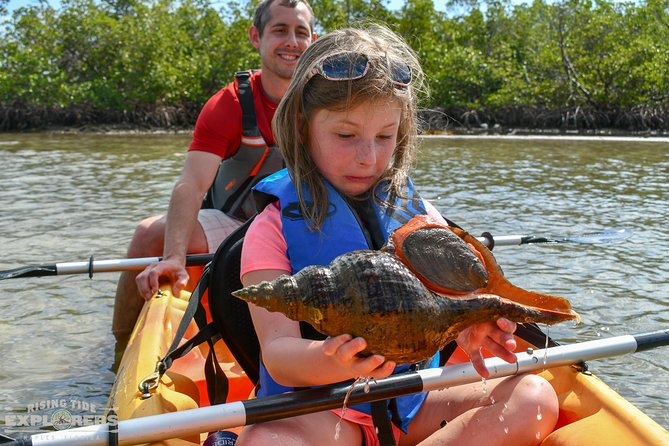 Mangrove Tunnels & Mudflats Kayak Tour – Local Biologist Guides