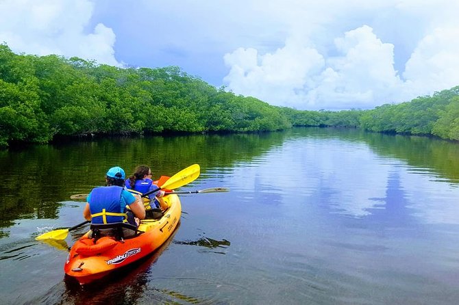 Mangroves and Manatees - Guided Kayak Eco Tour - Logistics and Accessibility