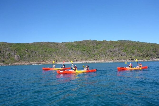 Mangroves and Mansions Guided Kayak Tour on the Noosa River - Booking Process