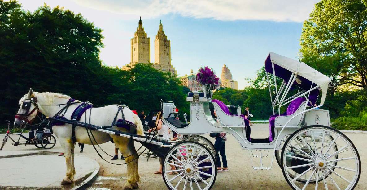 Manhattan: VIP Private Horse Carriage Ride in Central Park - Activity Details