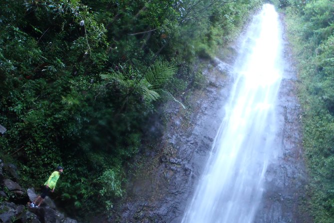 Manoa Waterfalls Hike With Local Guide - Trail Details