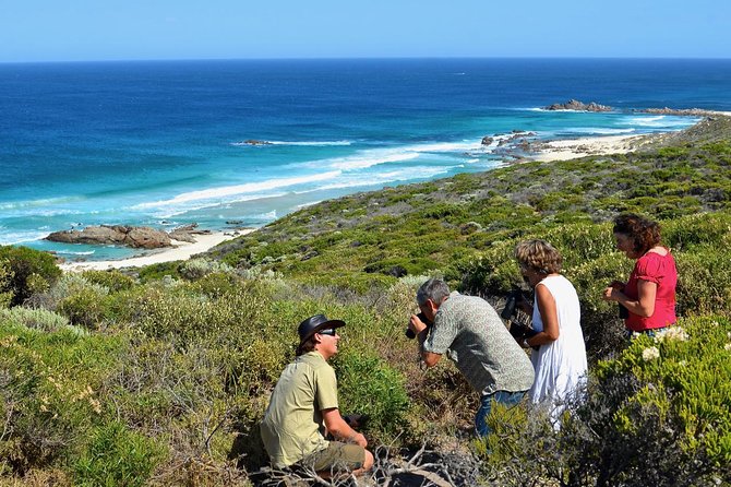 Margaret River Coastal and Wildlife Eco Trip From Busselton or Dunsborough