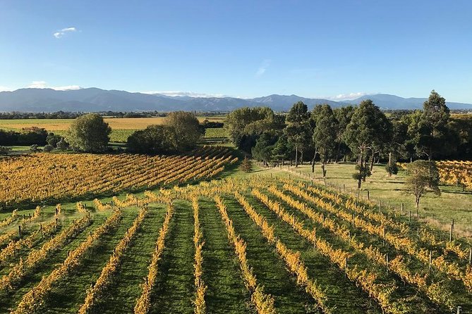 Marlborough Wineries Tour and Tasting From Picton or Blenheim - Tour Highlights