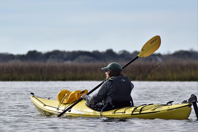 Marsh Kayaking Eco-Tour in Charleston via Small Group