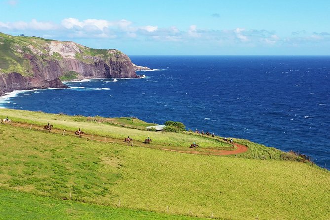 Maui Horseback-Riding Tour - Tour Highlights