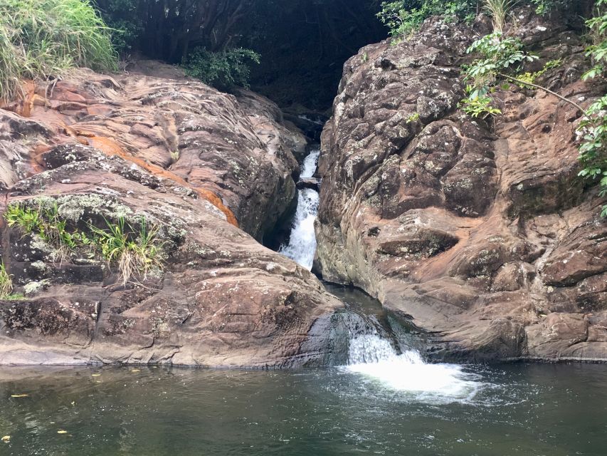 Maui: Private Jungle and Waterfalls Hiking Adventure