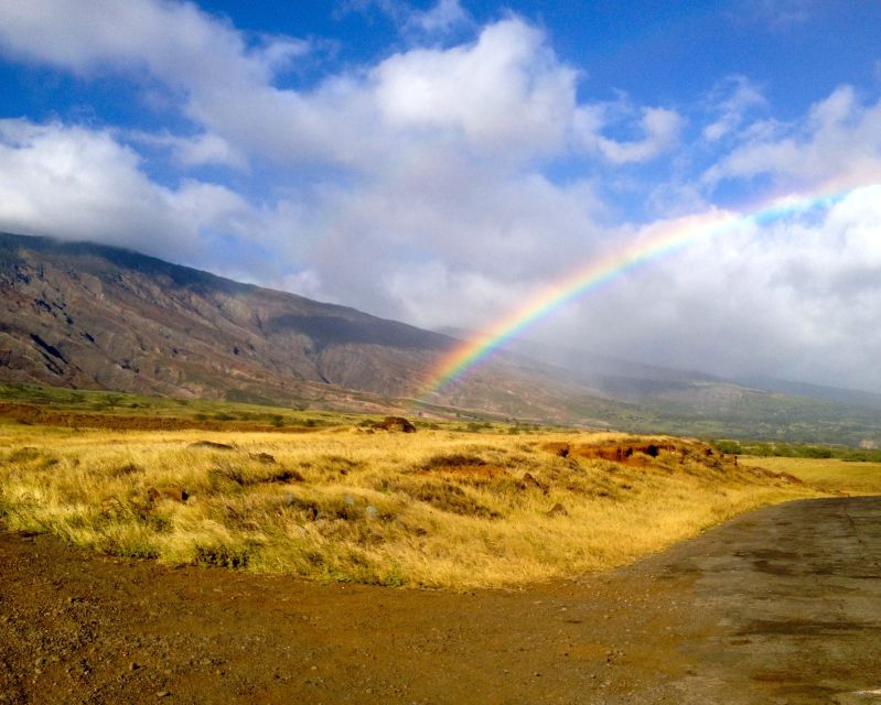 Maui: Private Road to Hana Full Loop Guided Tour