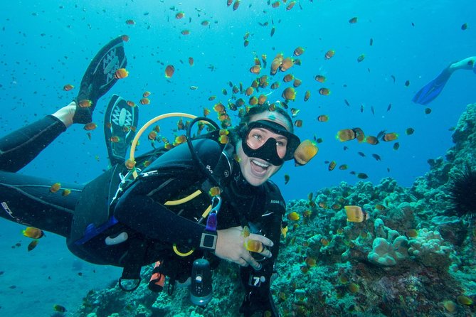 Maui Scuba Diving Introductory Lesson From Lahaina