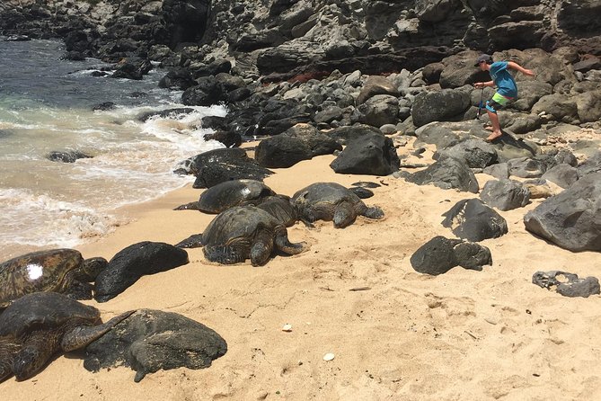 Maui Tour : Road to Hana Day Trip From Lahaina