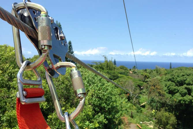 Maui Zipline Eco Tour - 8 Lines Through the Jungle - Tour Inclusions and Amenities