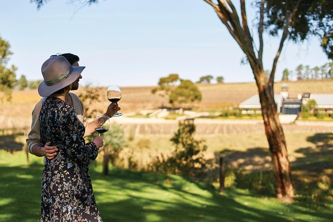 McLaren Vale Wine-Lover - Luxury Full Day Private Tour - Tour Highlights