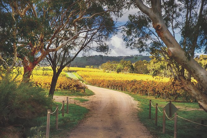 Mclaren Vale Winery Small Group Tour With Wine Tasting and Lunch