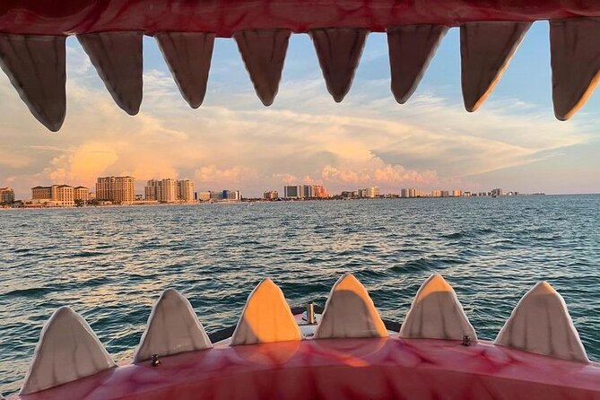 Mega Bite Dolphin Tour Boat in Clearwater Beach - Booking Information